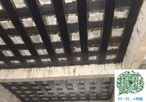麻栗坡厂房碳纤维加固